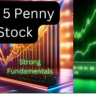 Top 5 penny stocks in 2024